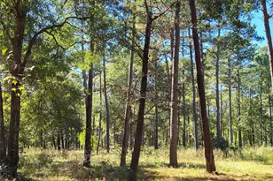 500 S Pine Lake Rd, Montgomery, TX 77316 - Photo 25