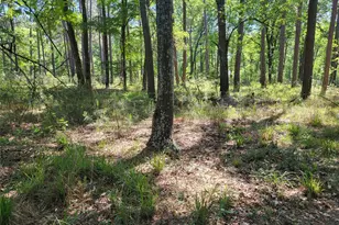 500 S Pine Lake Rd, Montgomery, TX 77316 - Photo 33