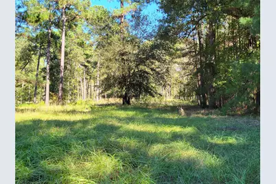 500 S Pine Lake Road, Montgomery, TX 77316 - Photo 21