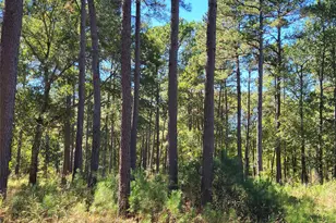 500 S Pine Lake Rd, Montgomery, TX 77316 - Photo 27