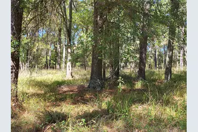 500 S Pine Lake Road, Montgomery, TX 77316 - Photo 29