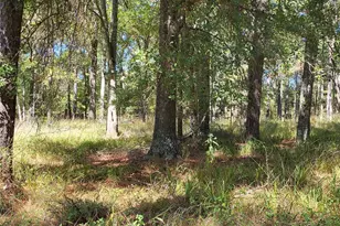 500 S Pine Lake Rd, Montgomery, TX 77316 - Photo 29