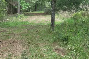 500 S Pine Lake Rd, Montgomery, TX 77316 - Photo 31