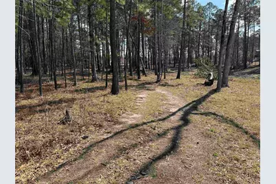 015 Private Road 6028, Brookeland, TX 75931 - Photo 3