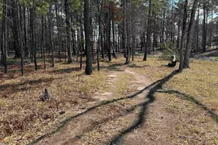 015 Private Road 6028, Brookeland, TX 75931 - Photo 3