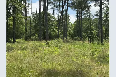 015 Private Road 6028, Brookeland, TX 75931 - Photo 7