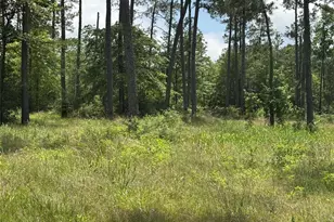 015 Private Road 6028, Brookeland, TX 75931 - Photo 7