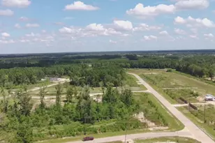 204 Road 5913, Cleveland, TX 77327 - Photo 1