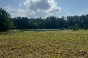 24980 Blackburn Dr, Splendora, TX 77372 - Photo 1