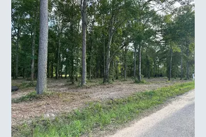 24980 Blackburn Dr, Splendora, TX 77372 - Photo 3