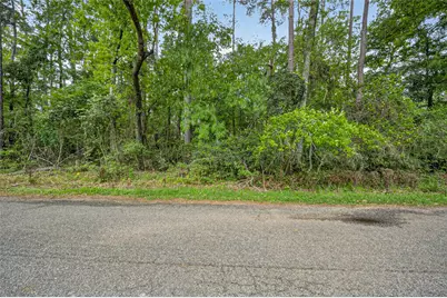 1007 W Cedar River Road, Conroe, TX 77316 - Photo 47