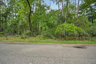 1007 W Cedar River Rd, Conroe, TX 77316 - Photo 47