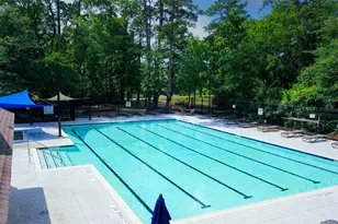 25830 Clear Springs Way, Spring, TX 77373 - Photo 39