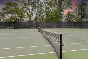 25830 Clear Springs Way, Spring, TX 77373 - Photo 41