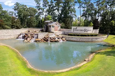 14207 Irvine Ranch Trail, Conroe, TX 77384 - Photo 29