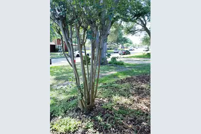 3731 Westheimer Place Drive, Houston, TX 77082 - Photo 21