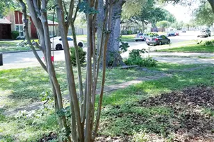3731 Westheimer Pl Dr, Houston, TX 77082 - Photo 21