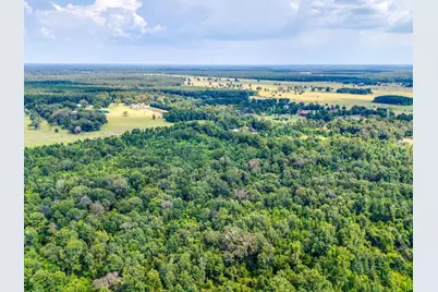 1626 County Road 2060, Hull, TX 77564 - Photo 11