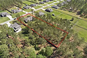 16536 Aransas St, Conroe, TX 77303 - Photo 37