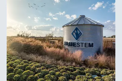 3029 Bristlegrass Street, Brookshire, TX 77423 - Photo 21