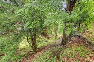 1231 Bay Oaks Rd, Houston, TX 77008 - Photo 1