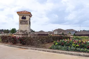 19623 Cat Spruce Ct, Porter, TX 77365 - Photo 25