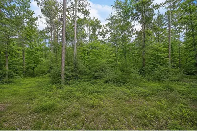 247 County Road 6763, Dayton, TX 77535 - Photo 3