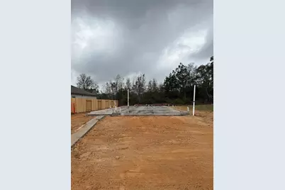 115 West Canopy Crossing Circle, Conroe, TX 77301 - Photo 5