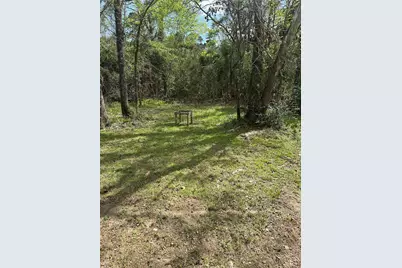 2265 McCaleb Road, Montgomery, TX 77351 - Photo 21