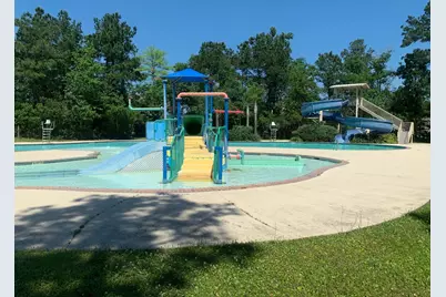 22005 Dove Canyon Lane, Porter, TX 77365 - Photo 39