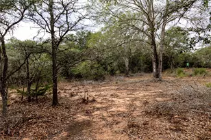 0 County Road 123, Hallettsville, TX 77964 - Photo 13