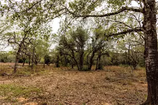 0 County Road 123, Hallettsville, TX 77964 - Photo 11