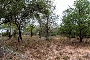 0 County Road 123, Hallettsville, TX 77964 - Photo 9