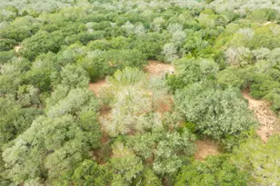 0 County Road 123, Hallettsville, TX 77964 - Photo 17