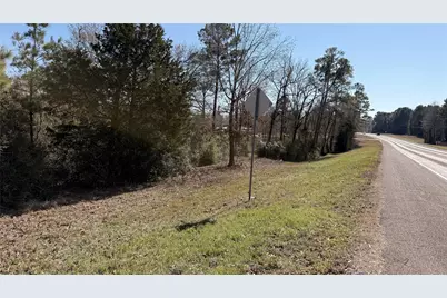 00 State Highway 156, Pointblank, TX 77364 - Photo 3