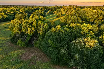 10277 Mt Falls School Road, Washington, TX 77880 - Photo 11