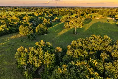10277 Mt Falls School Road, Washington, TX 77880 - Photo 3