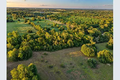 10277 Mt Falls School Road, Washington, TX 77880 - Photo 7