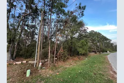 19541 Desna Drive, Porter, TX 77365 - Photo 3