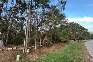 19541 Desna Dr, Porter, TX 77365 - Photo 3