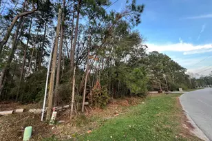 19541 Desna Dr, Porter, TX 77365 - Photo 9