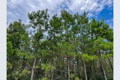 34 Highway 94 Road, Groveton, TX 75845 - Photo 7