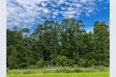 34 Highway 94 Road, Groveton, TX 75845 - Photo 9