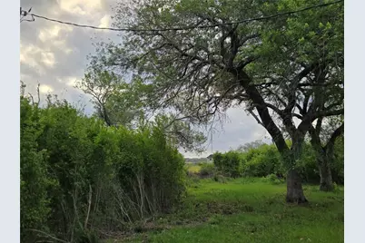 3325 Fm 360 Road, Rosenberg, TX 77471 - Photo 19