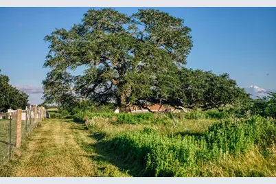 Tract 3 Pleasant Hill School Road, Brenham, TX 77833 - Photo 15