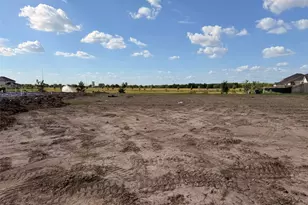 320 Juniper Pass Dr, Brookshire, TX 77423 - Photo 9