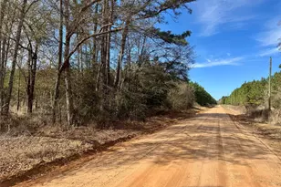 950 Tram Rd, Livingston, TX 77351 - Photo 1