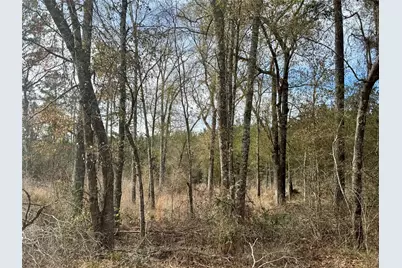 950 Tram Road, Livingston, TX 77351 - Photo 5