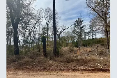 950 Tram Road, Livingston, TX 77351 - Photo 3