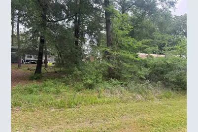 125 Trinidad Lane, Point Blank, TX 77364 - Photo 5